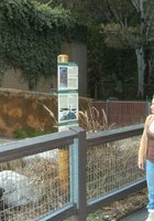 Познакомились в зоопарке и перетрахались 2 фотография