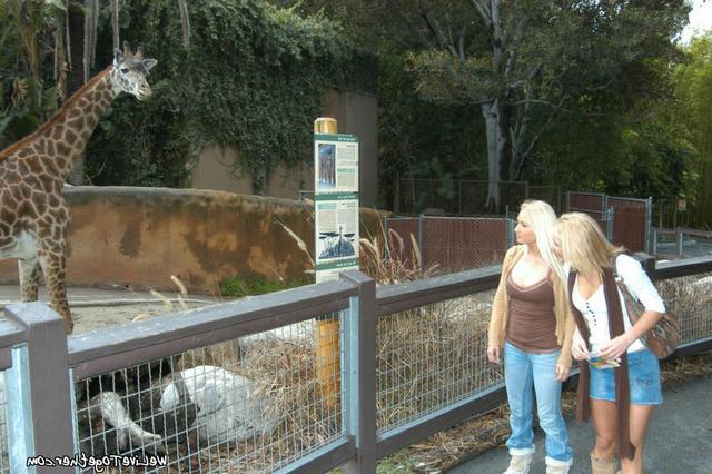 Познакомились в зоопарке и перетрахались 2 фотография
