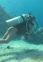 Голая аквалангистка светит киской под водой 2 фотография