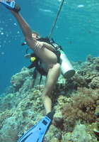 Голая аквалангистка светит киской под водой 10 фотография