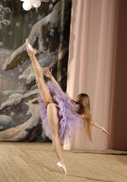 Гибкая балерина занимается в студии в одной лишь пачке 2 фото