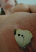 Бабочки в животе и мотылек на киске 9 фото