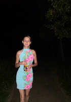 На вечерней прогулке сучка задрала платье по шею 1 фото