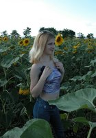 Молодая блонда раздевается среди подсолнухов 2 фотография