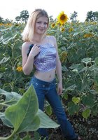 Молодая блонда раздевается среди подсолнухов 3 фото