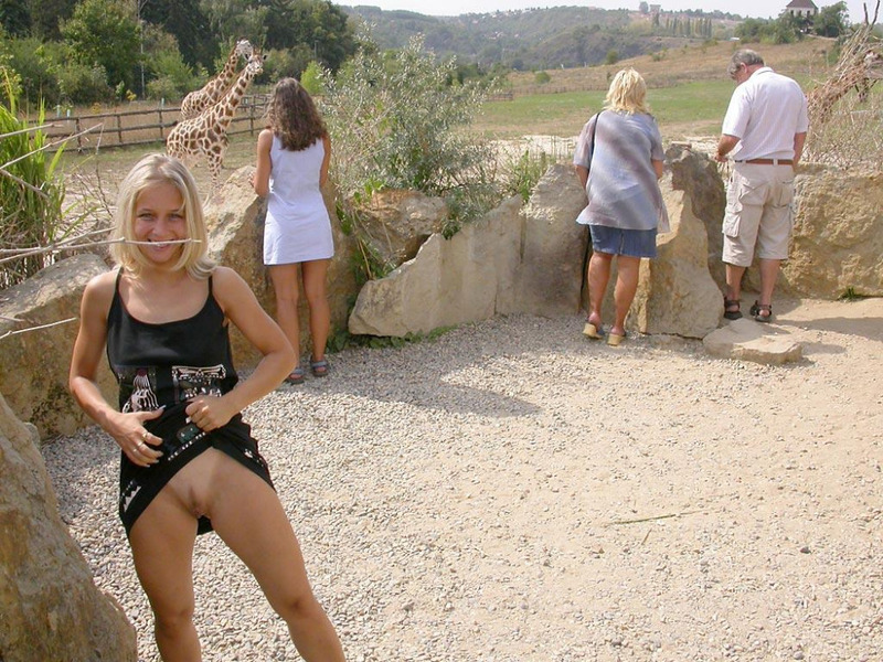 Блонда светит писькой во время прогулки по зоопарку 12 фотография