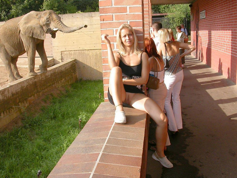 Блонда светит писькой во время прогулки по зоопарку 13 фотография