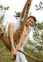 Обнаженная Лариса залезла на дерево 6 фотография