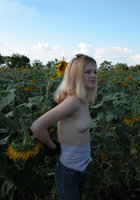 Молодая Алена обнажается среди подсолнухов 7 фото