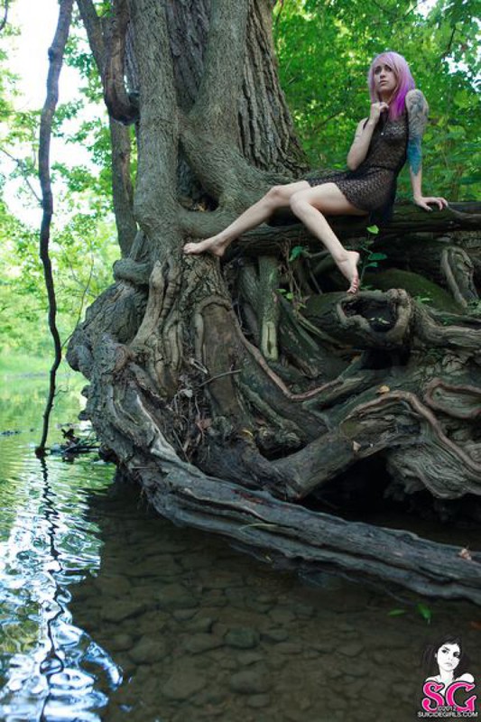 Веном купается в лесной реке 8 фотография