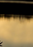 Бреа стоит на берегу озера во время заката 14 фото
