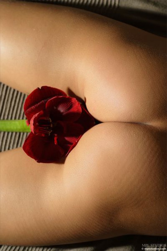 Мария валяется в обнимку с красным цветком 20 фотография