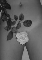 Инна прикрыла узкую писечку белой розой 12 фотография
