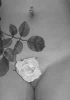 Инна прикрыла узкую писечку белой розой 14 фото