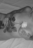 Инна прикрыла узкую писечку белой розой 18 фотография