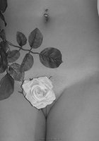 Инна прикрыла узкую писечку белой розой 15 фото