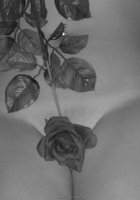 Инна прикрыла узкую писечку белой розой 19 фото