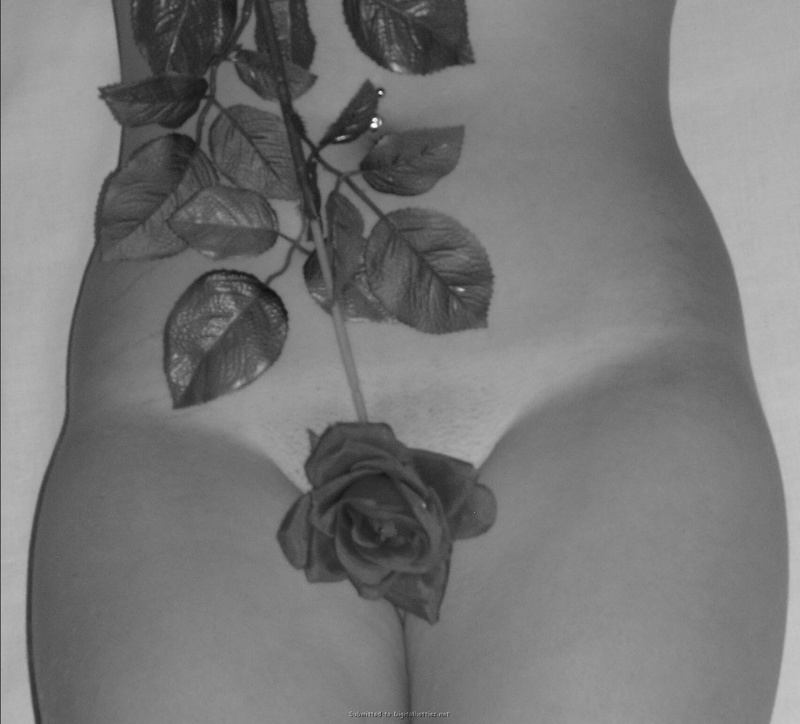 Инна прикрыла узкую писечку белой розой 19 фотография