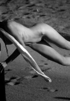 Мара задирает ногу на деревянный столбик 25 фото