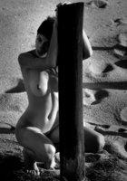 Мара задирает ногу на деревянный столбик 9 фотография