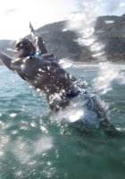 Бикса плавает голая под водой 8 фото