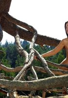 Сексуальная Ева залезла на корни дерева 8 фотография