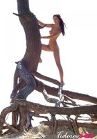 Сексуальная Ева залезла на корни дерева 22 фото