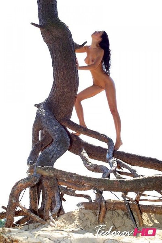 Сексуальная Ева залезла на корни дерева 23 фотография