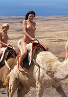 Две заводные подружки голышом покоряют пустыню 11 фото
