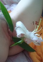 Красотка засунула в киску белый цветок 4 фото