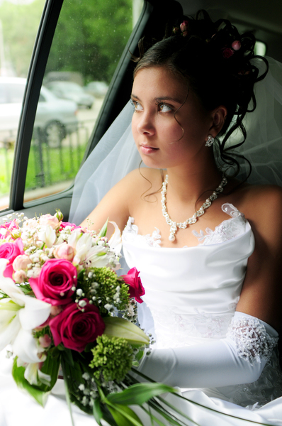 Миленькая невеста отправилась в свадебное путешествие 2 фотография