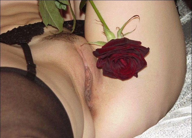 Сексапильная дама ласкает розой лобок лежа на шелковой простыне 6 фотография