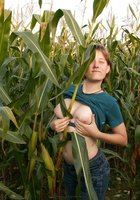 Цыпочка трахает себя кочаном на кукурузном поле 5 фотография