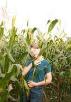 Цыпочка трахает себя кочаном на кукурузном поле 3 фотография