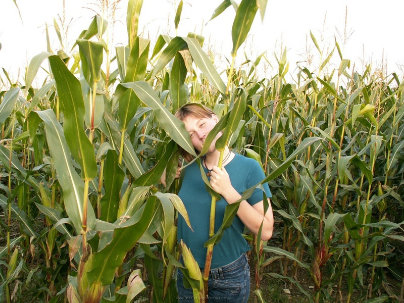 Цыпочка трахает себя кочаном на кукурузном поле 1 фотография