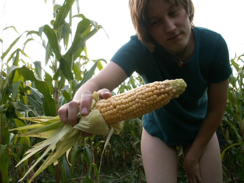 Цыпочка трахает себя кочаном на кукурузном поле 21 фотография