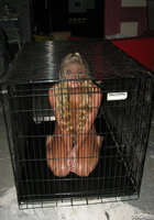 Милая рабыня Jessie Andrews раздевается в клетке 12 фото