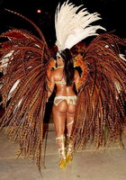Нарядные танцовщицы щеголяют по улицам на карнавале в Рио 13 фотография