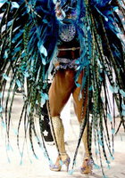 Нарядные танцовщицы щеголяют по улицам на карнавале в Рио 19 фотография