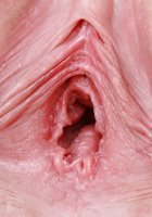 Медсестра в розовом халате засунула расширитель в вагину, сидя в гинекологическом кресле 7 фотография